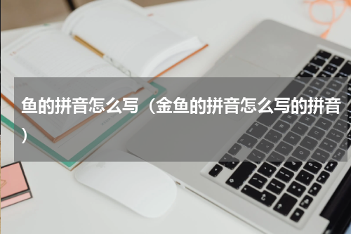 鱼的拼音怎么写（金鱼的拼音怎么写的拼音）