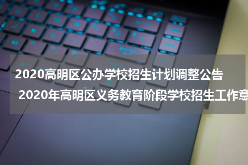 2020高明区公办学校招生计划调整公告 2020年高明区义务教育阶段学校招生工作意见