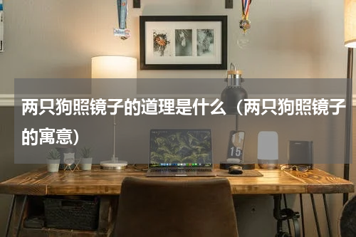 两只狗照镜子的道理是什么（两只狗照镜子的寓意）