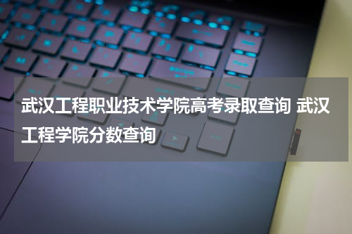 武汉工程职业技术学院高考录取查询 武汉工程学院分数查询