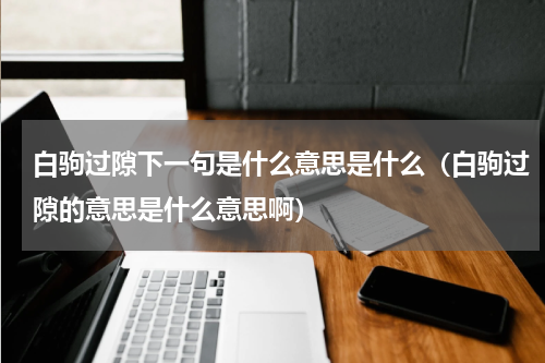 白驹过隙下一句是什么意思是什么（白驹过隙的意思是什么意思啊）