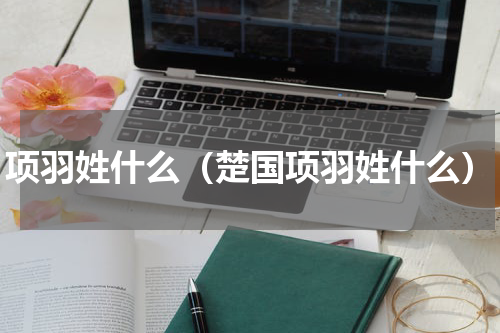 项羽姓什么(楚国项羽姓什么)