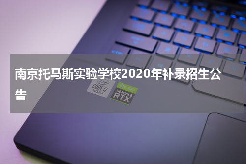 南京托马斯实验学校2020年补录招生公告