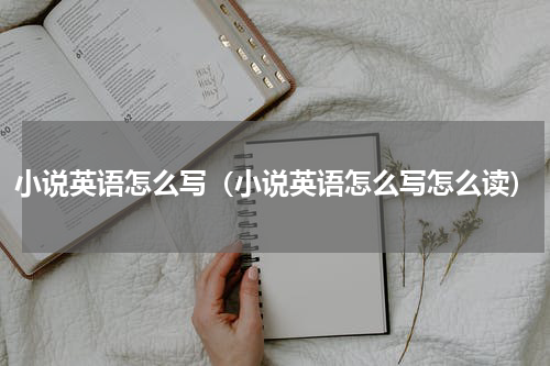 小说英语怎么写(小说英语怎么写怎么读)