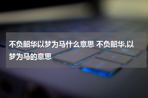 不负韶华以梦为马什么意思 不负韶华,以梦为马的意思