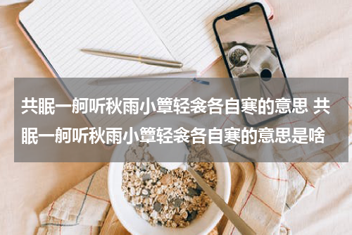 共眠一舸听秋雨小簟轻衾各自寒的意思 共眠一舸听秋雨小簟轻衾各自寒的意思是啥