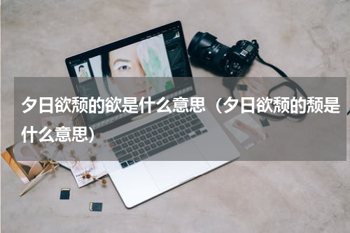 夕日欲颓的欲是什么意思(夕日欲颓的颓是什么意思)