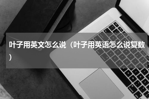 叶子用英文怎么说(叶子用英语怎么说复数)