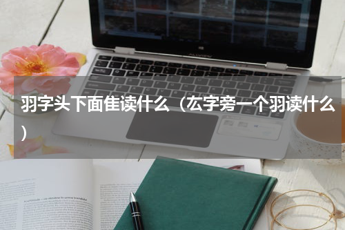 羽字头下面隹读什么（厷字旁一个羽读什么）