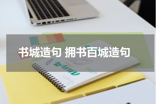 书城造句 拥书百城造句