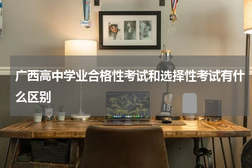 广西高中学业合格性考试和选择性考试有什么区别
