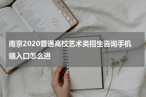 南京2020普通高校艺术类招生咨询手机端入口怎么进