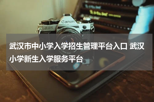 武汉市中小学入学招生管理平台入口 武汉小学新生入学服务平台
