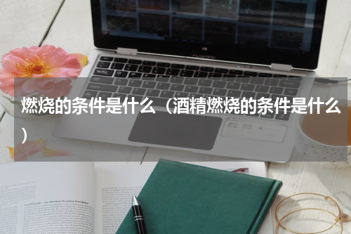 燃烧的条件是什么（酒精燃烧的条件是什么）