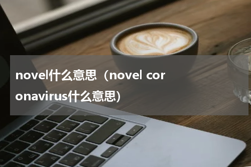 novel什么意思（novel coronavirus什么意思）