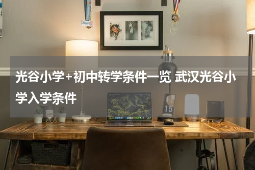 光谷小学+初中转学条件一览 武汉光谷小学入学条件