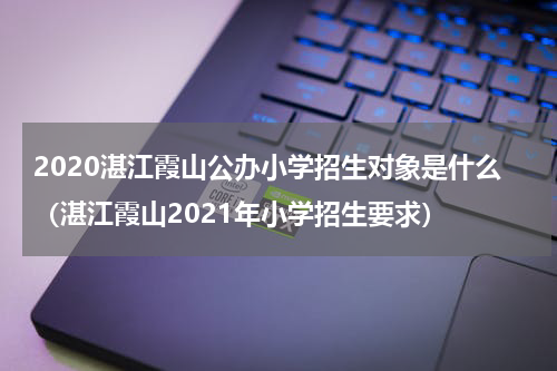 2020湛江霞山公办小学招生对象是什么（湛江霞山2021年小学招生要求）