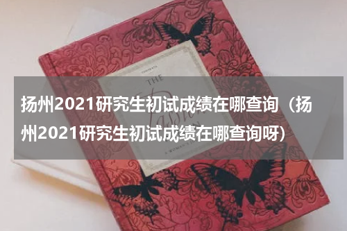 扬州2021研究生初试成绩在哪查询(扬州2021研究生初试成绩在哪查询呀)