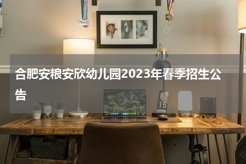 合肥安粮安欣幼儿园2023年春季招生公告