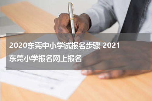 2020东莞中小学试报名步骤 2021东莞小学报名网上报名