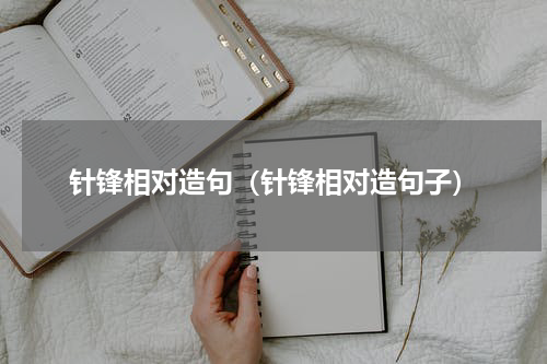 针锋相对造句(针锋相对造句子)