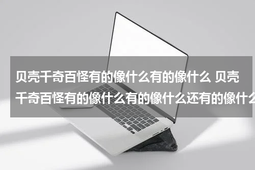 贝壳千奇百怪有的像什么有的像什么 贝壳千奇百怪有的像什么有的像什么还有的像什么
