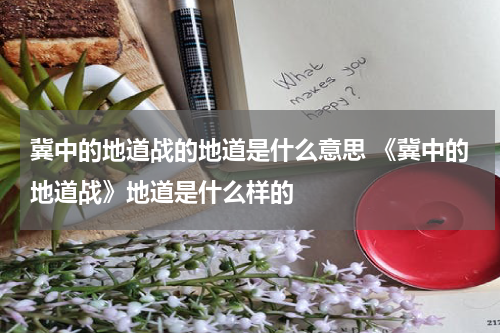 冀中的地道战的地道是什么意思 《冀中的地道战》地道是什么样的