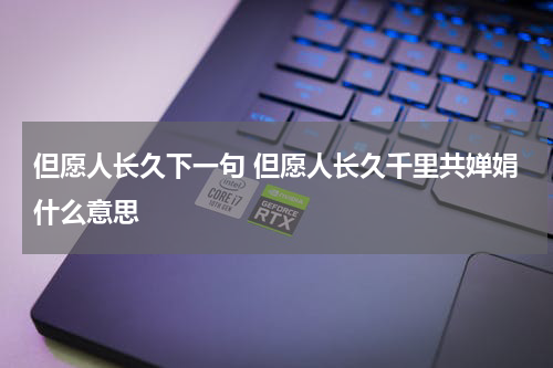 但愿人长久下一句 但愿人长久千里共婵娟什么意思