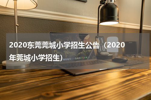 2020东莞莞城小学招生公告（2020年莞城小学招生）