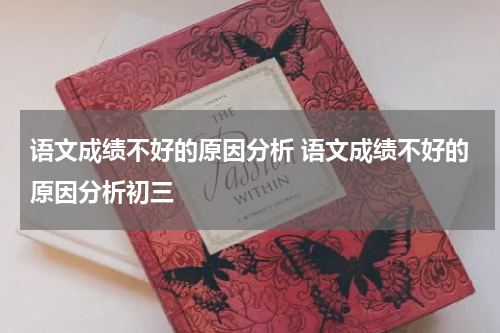 语文成绩不好的原因分析 语文成绩不好的原因分析初三