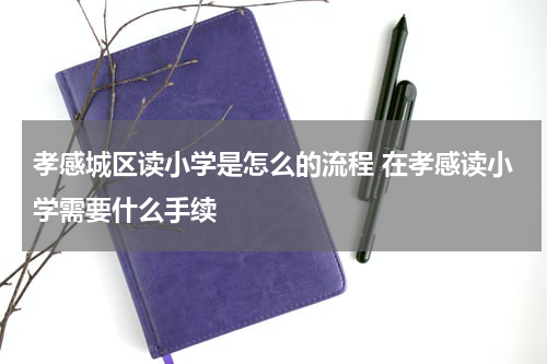 孝感城区读小学是怎么的流程 在孝感读小学需要什么手续