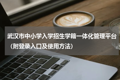 武汉市中小学入学招生学籍一体化管理平台(附登录入口及使用方法)