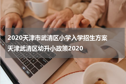 2020天津市武清区小学入学招生方案 天津武清区幼升小政策2020