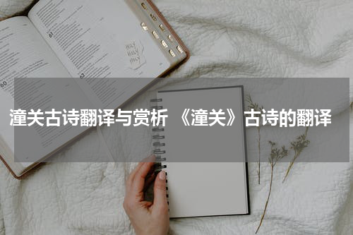 潼关古诗翻译与赏析 《潼关》古诗的翻译