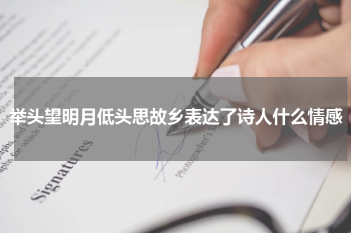 举头望明月低头思故乡表达了诗人什么情感