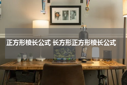 正方形棱长公式 长方形正方形棱长公式