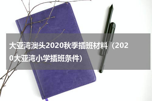 大亚湾澳头2020秋季插班材料（2020大亚湾小学插班条件）