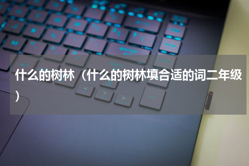 什么的树林（什么的树林填合适的词二年级）