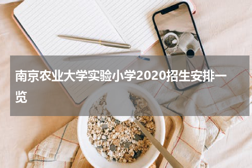 南京农业大学实验小学2020招生安排一览