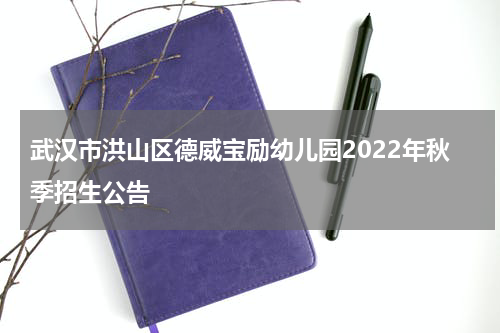 武汉市洪山区德威宝励幼儿园2022年秋季招生公告