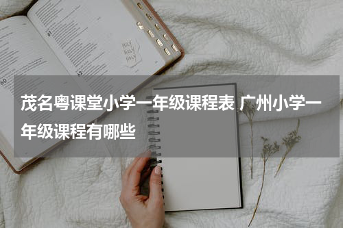 茂名粤课堂小学一年级课程表 广州小学一年级课程有哪些