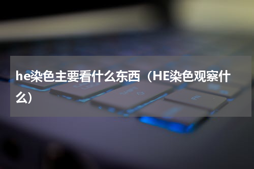 he染色主要看什么东西（HE染色观察什么）