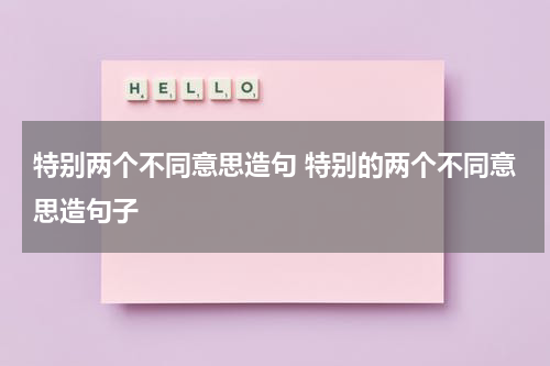 特别两个不同意思造句 特别的两个不同意思造句子