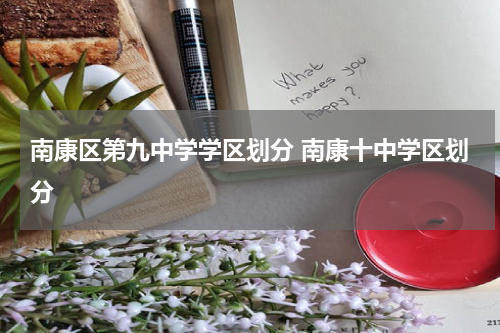 南康区第九中学学区划分 南康十中学区划分