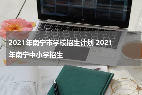 2021年南宁市学校招生计划 2021年南宁中小学招生