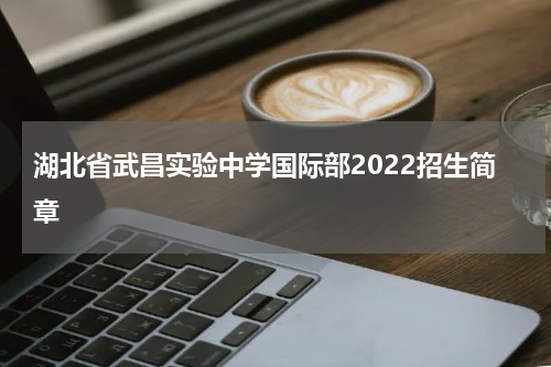 湖北省武昌实验中学国际部2022招生简章