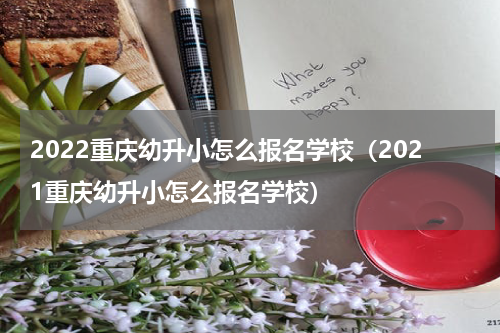 2022重庆幼升小怎么报名学校（2021重庆幼升小怎么报名学校）