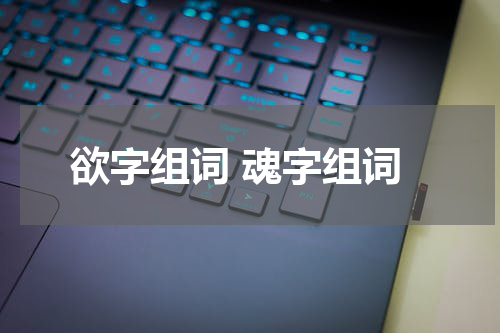 欲字组词 魂字组词