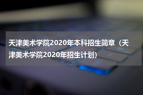 天津美术学院2020年本科招生简章（天津美术学院2020年招生计划）
