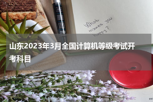 山东2023年3月全国计算机等级考试开考科目